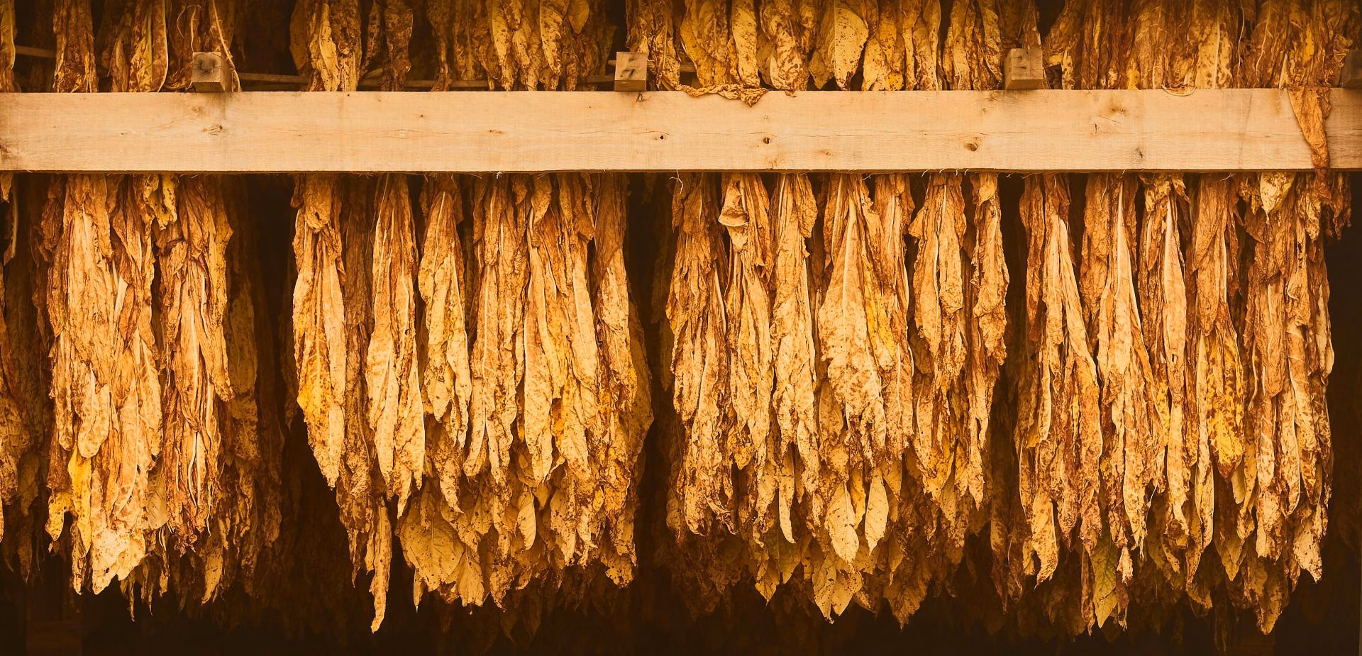 Creating machines
for your perfect
cigar, since 1935